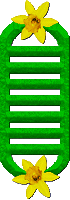 Other Interfaces