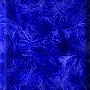 Feathered Blue