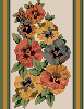 Pansy