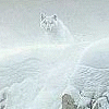 Arctic Cliff
