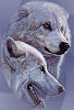 Arctic Wolves