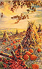 Pumpkin Patch